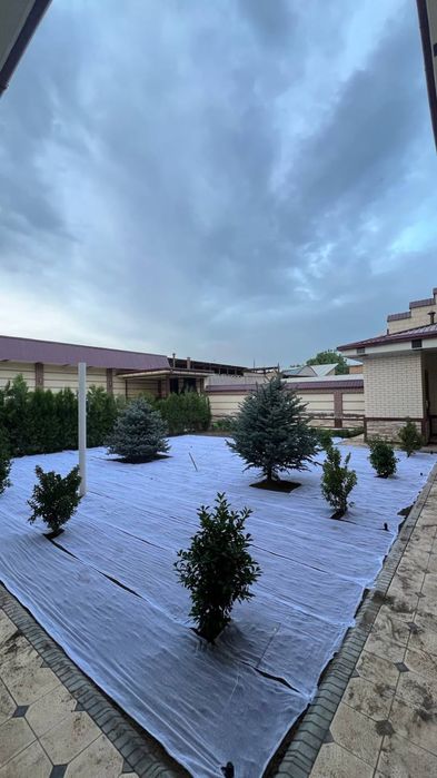 Газон екиш+поливной система ландшафт