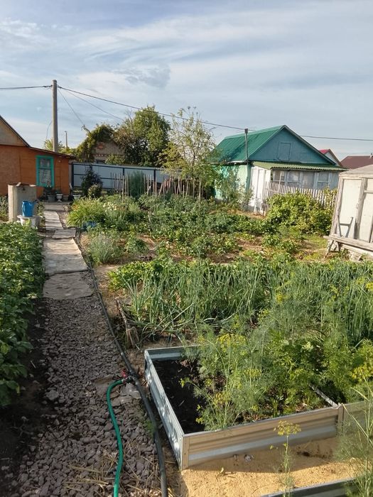 Продам дачу в Новопавловке