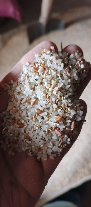 Макка силос сенаж сенаш, кепак, аралаш ем