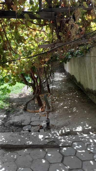 Ижарага участка берилади