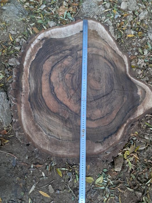 Rondele nuc. PRET SUPER BUN