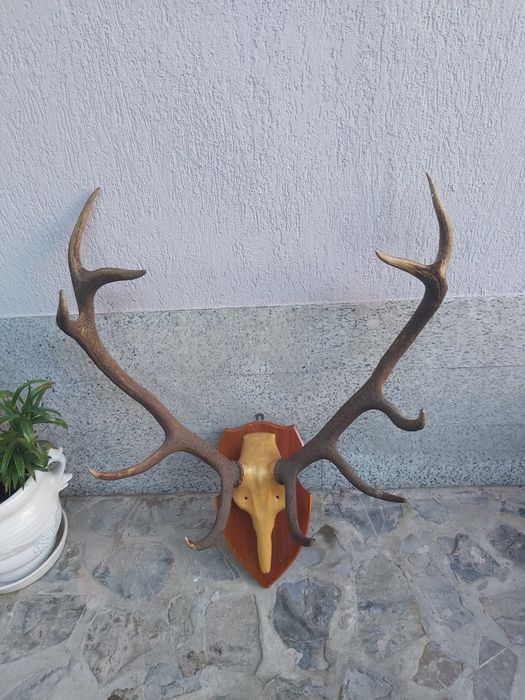 Vand obiecte vechi, de antichitate
