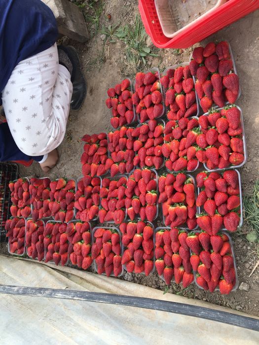 Порно экшн фильмі орыс тілінде онлайн