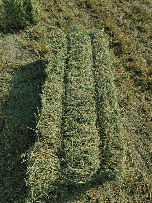 Beda pres sotiladi [беда прес продаётся]