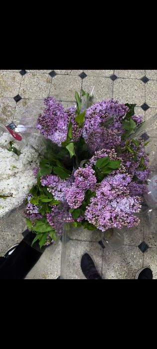 Сирень, от которой кружится голова(И не только голова)