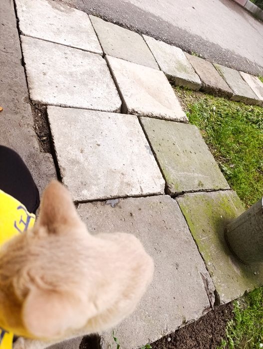 Бетонные плиты 50х50 см