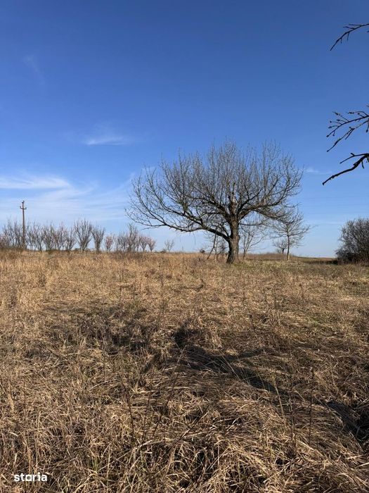 Teren intravilan panoramic langa Oradea – vilă premium / infinity pool