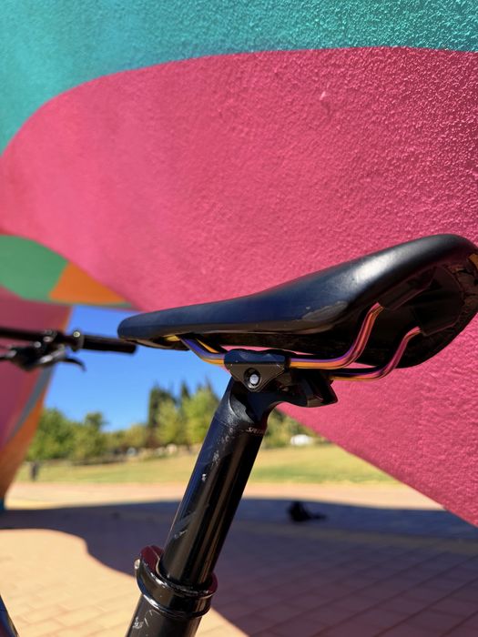 Specialized Demo 2017 Carbon Stealth