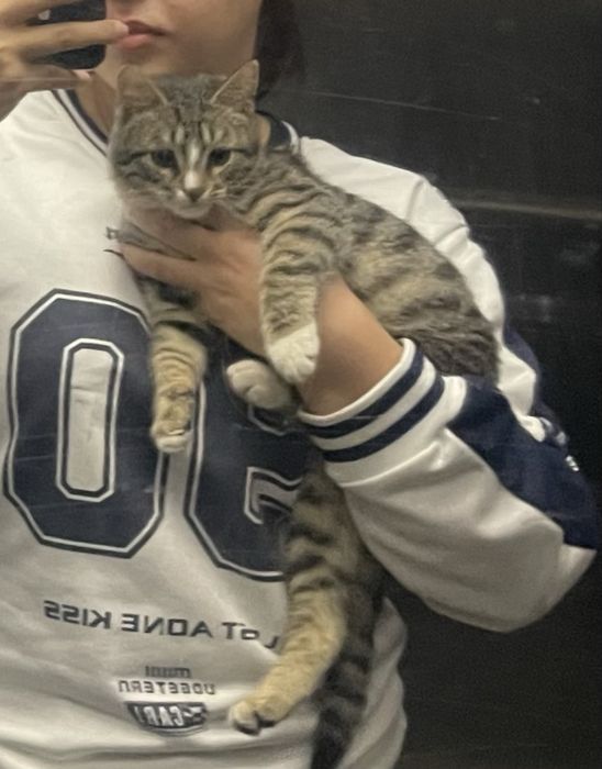 Отдаётся бесплатно в добрые руки