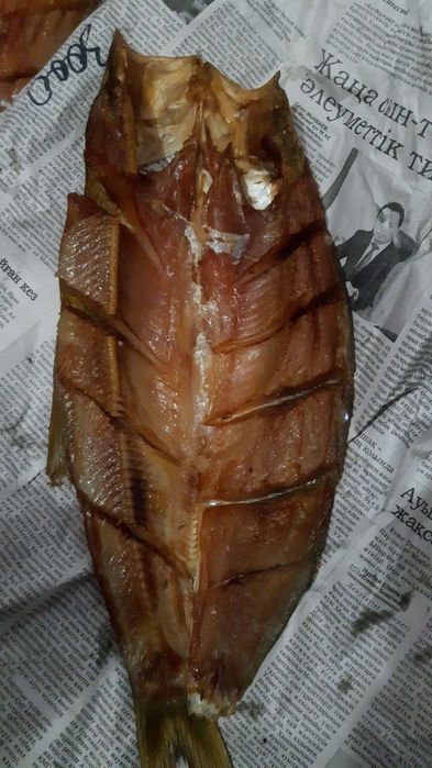 Капченный Толстолоб,Жерих