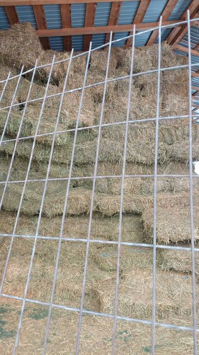 Baloti lucerna rotunzi 120x120si baloti dreptunghiulari