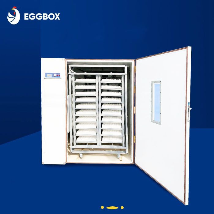 Инкубатор хизмати бор. Барча турдаги паранда тухумни очириб берамиз.