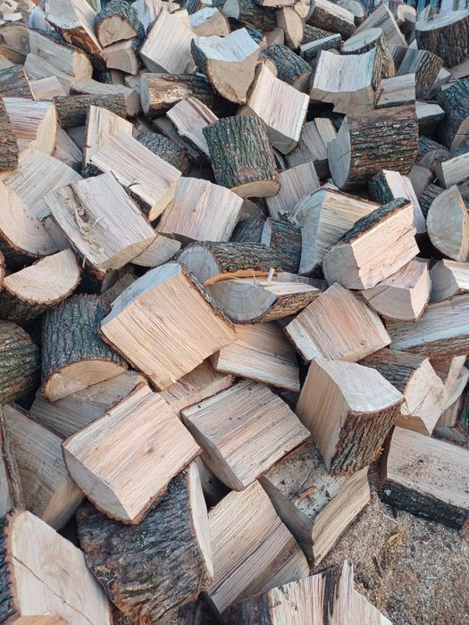 Lemn de foc stejar uscat 650 lei tona