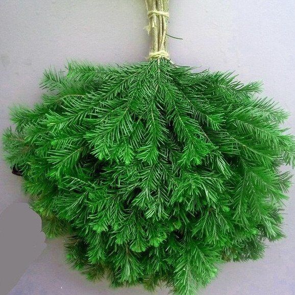 Продается свежие пихтовые веники