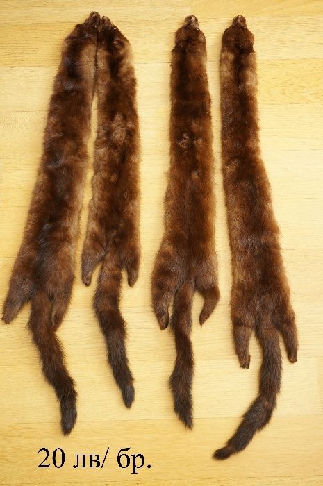 кожена яка   лисици  норки