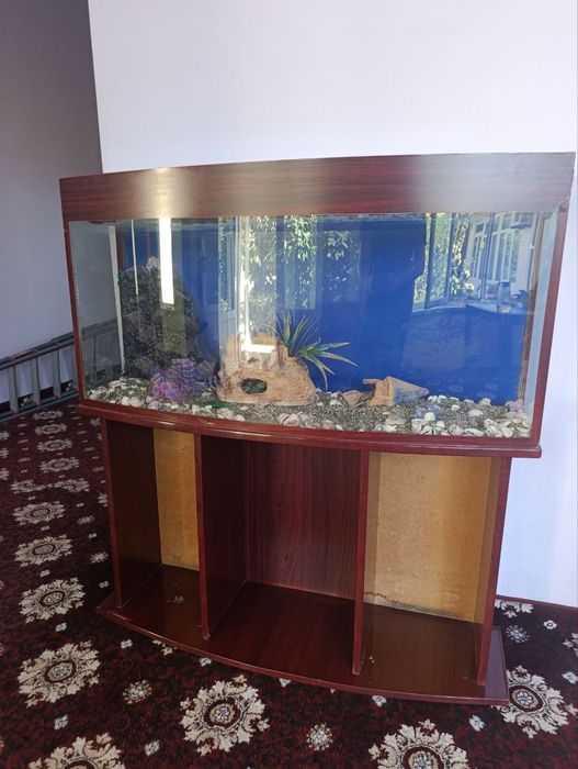 Akvarium arzon narxda sotiladi