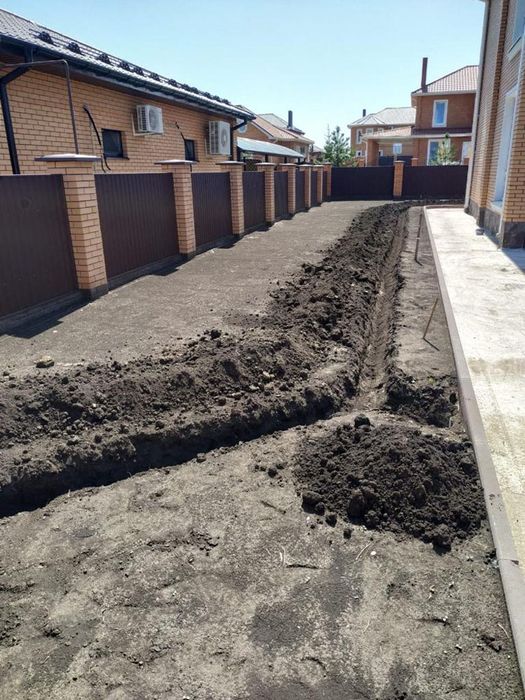 Сад озеленение газон