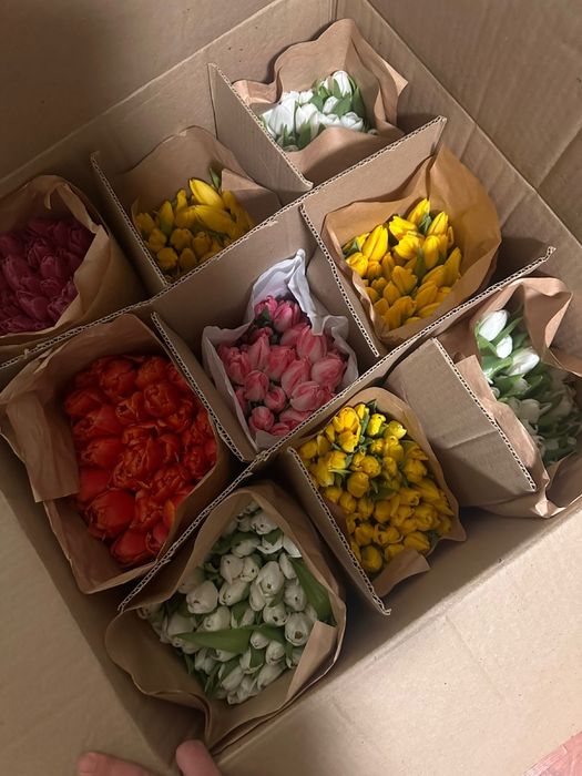 Продаются тюльпаны по дешевой цене