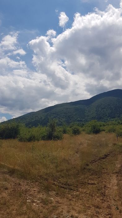 Продава имот в гр.Сапарева баня