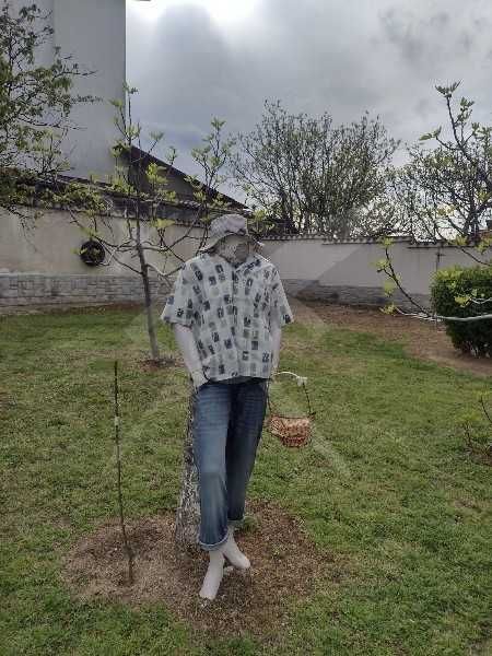 Продава се Парцел в с. Брестник, Област Пловдив - 340 кв.м за 118 €/кв.м - Снимка #1