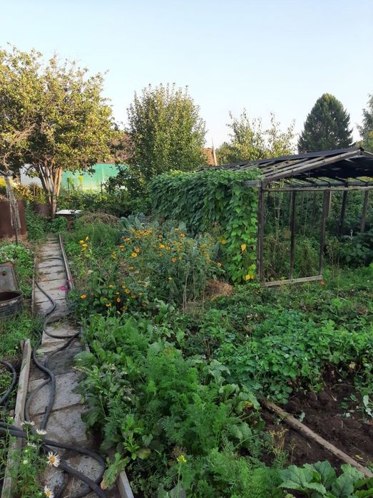 Продам дачу с домиком, торг