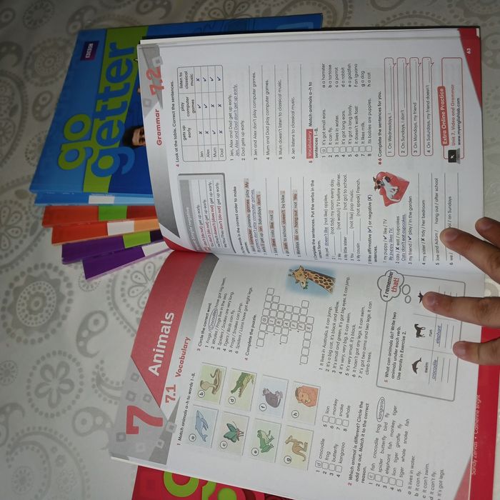 Go getter 1 2 3 4 оригинал students' + work book + disk