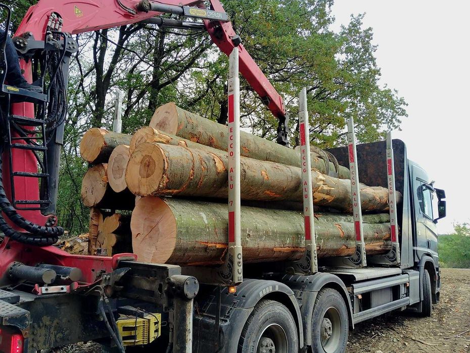 Lemn foc cantitati mari