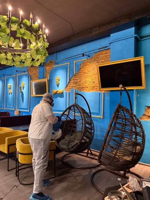 Уничтожение клопов, травля тараканов. Дезинфекция