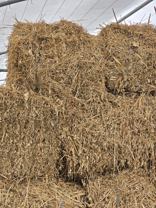 Vând baloti de lucernă