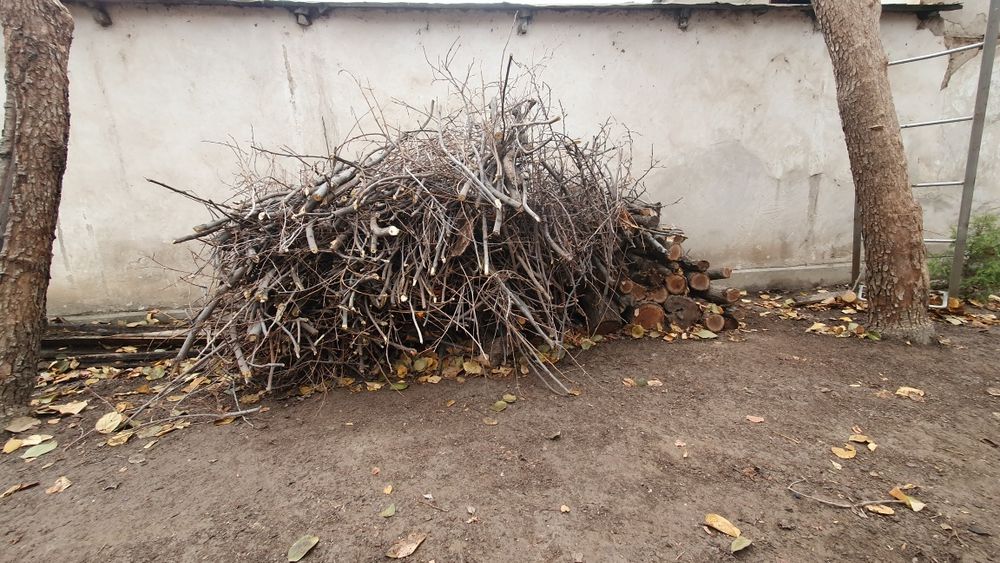 Тандир ва учак учун утин / дрова для топки