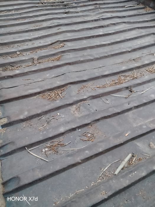 Traktor pirsepi (teleshka)