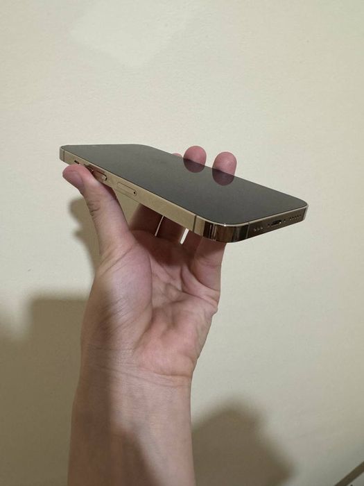 Iphone 13 pro gold ideal
