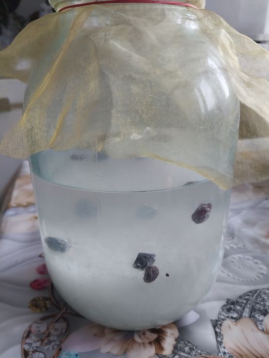 Продам Индиский морской гриб Рис