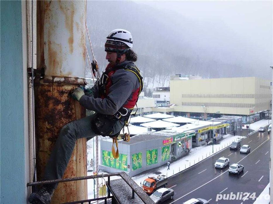 Toaletare sau tăiere copaci și reparații/întreținere acoperiș