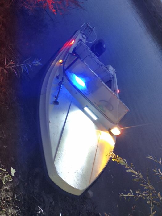 Катер с лодочный мотором df50