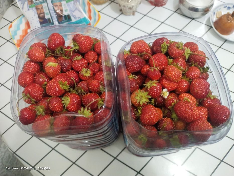 Продам дачу, сад Берёзка