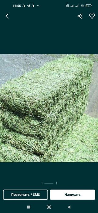 Сомон+Беда+К,амич+Чи+Бардон+К,амиш