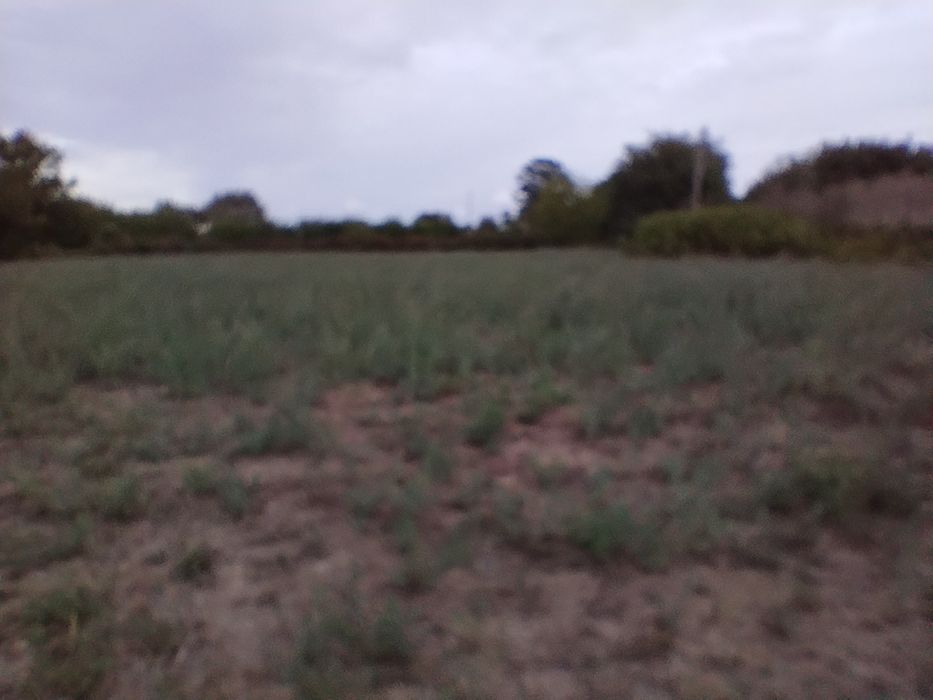 Парцел   2 322   д к а