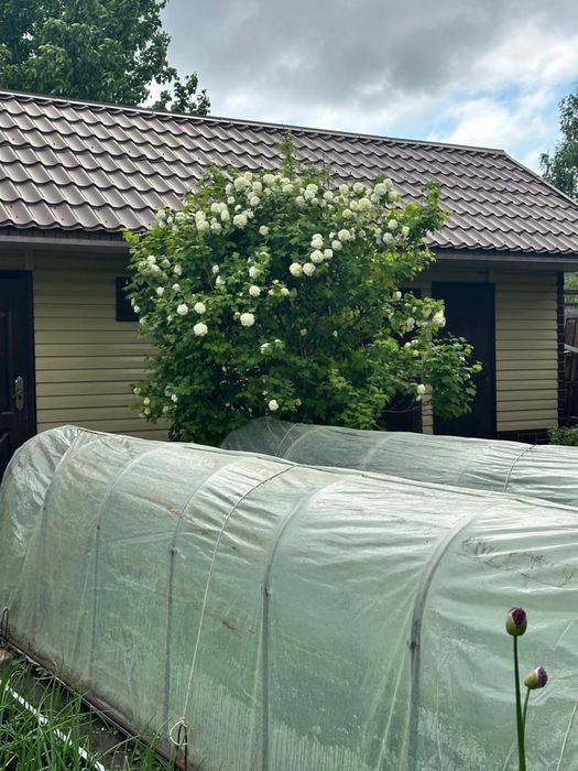 Продам дачу ПЕСТРОЕ