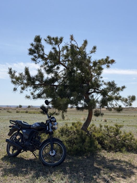 Racer 110gs,Racer Alpha
