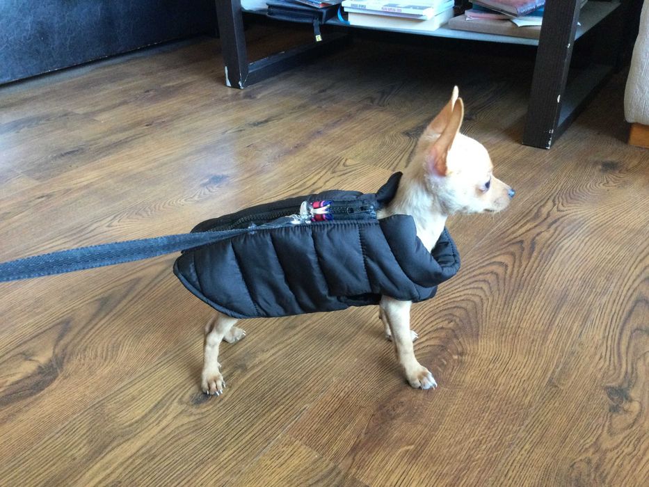 НОВ топъл черен зимен елек за куче от Италия S, M и L размер