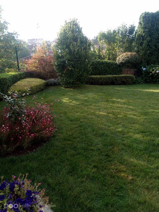 ОЗЕЛЕНЯВАНЕ, поддръжка