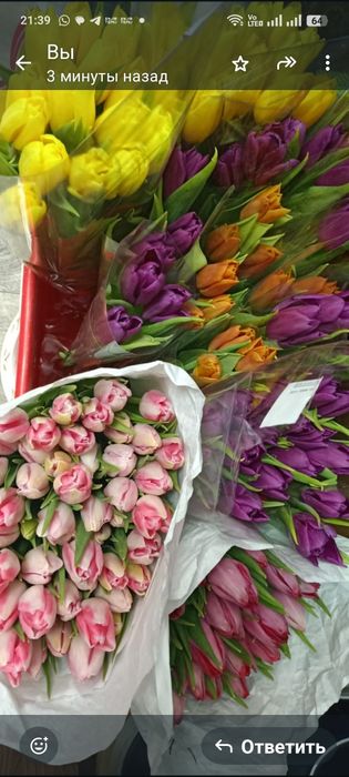 Цветы тюльпаны..
