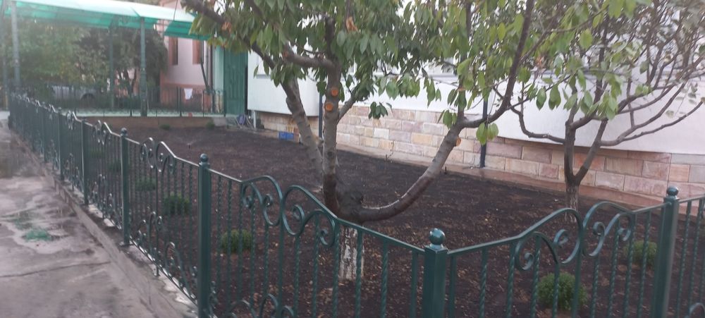 посев газон и семена газона gazon urugi газон уруги