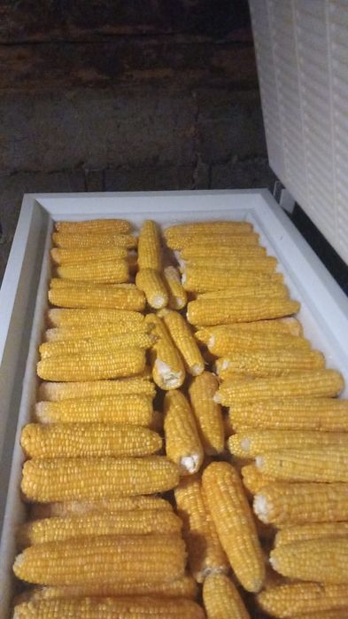 Porumb zaharat congelat