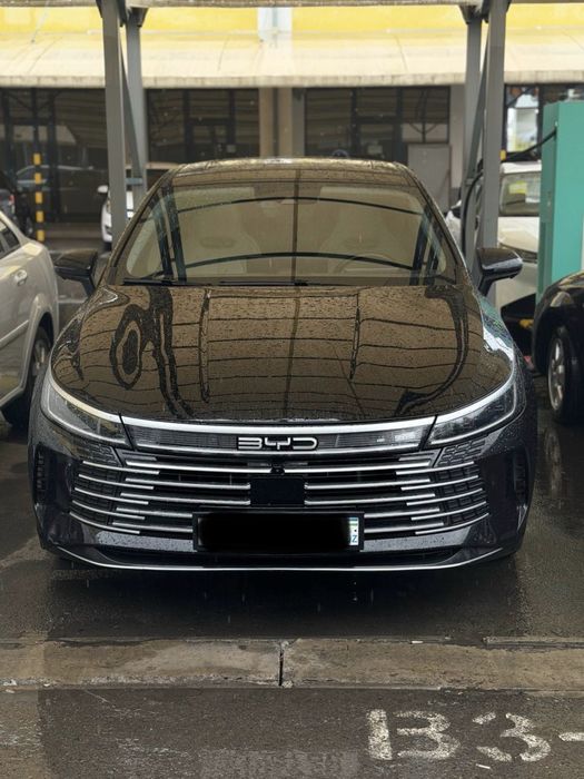 BYD CHAZOR 2024 full