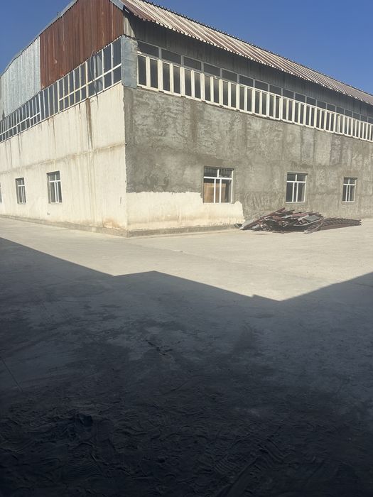 Попещения в аренду Ташгресс