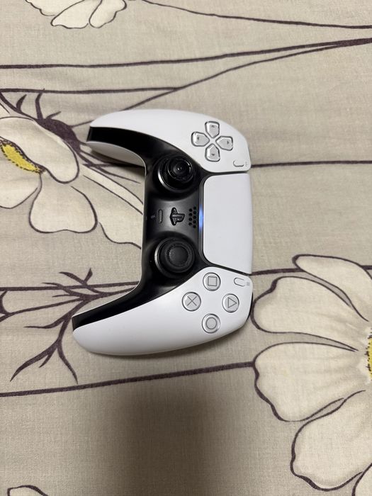 Playstation 5 fat disc