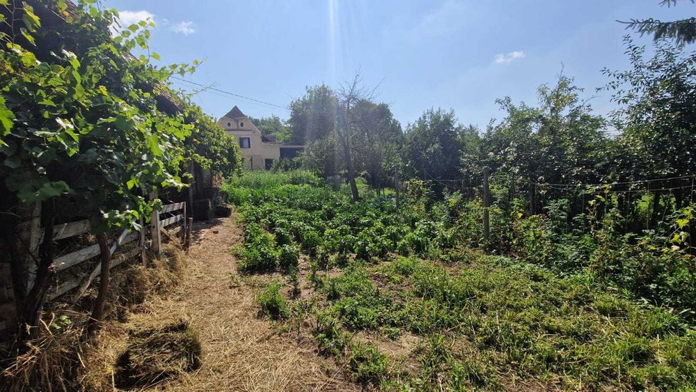 Casă tradițională de vânzare în Richiș (Biertan) – Via Transilvanica