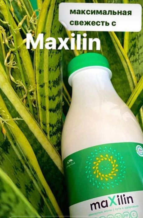 Максилин - пробиотик